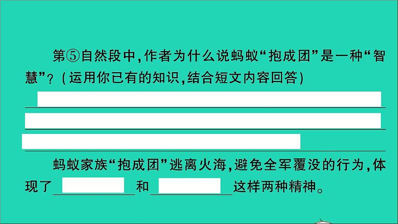 2021小升初语文归类冲刺专题六阅读理解专项二十四散文阅读课件07