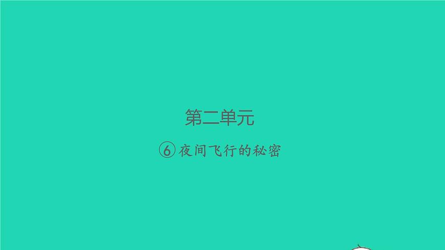 2021秋四年級(jí)語(yǔ)文上冊(cè)第二單元6夜間飛行的秘密習(xí)題課件新人教版第1頁(yè)