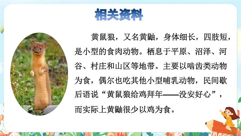 14《母鸡》课件+教案+素材+练习03