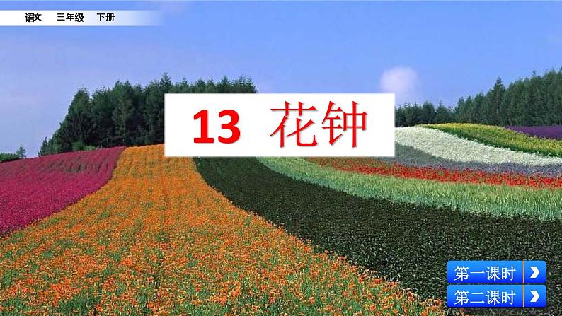 人教部编版(五四制)三年级下册语文13 花钟课件第3页