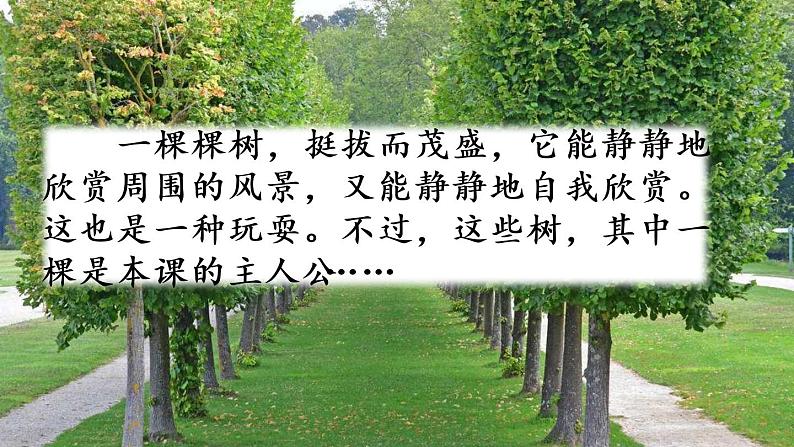 人教部编版(五四制)三年级下册语文17 《 我变成了一棵树》课件01