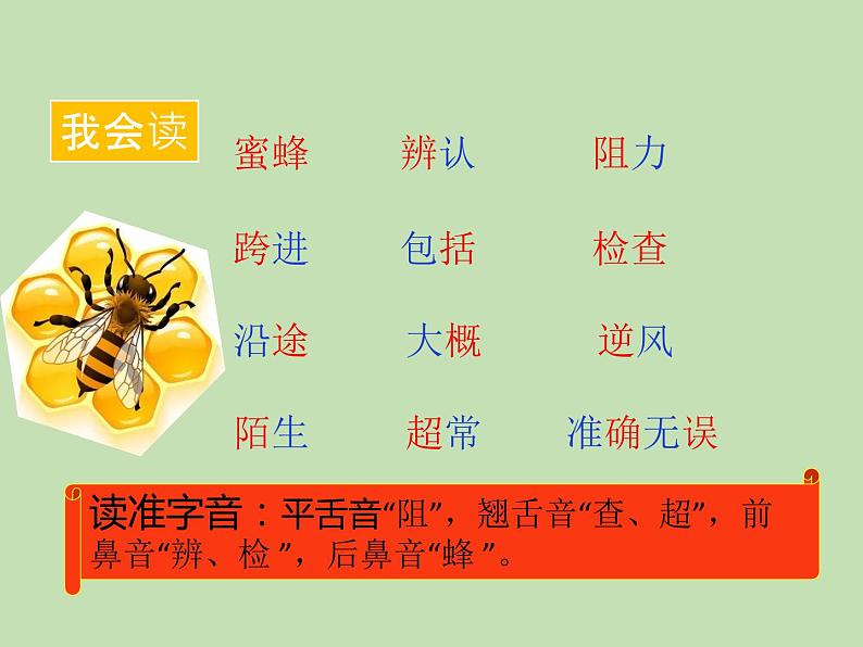 人教部编版(五四制)语文三年级下册14 蜜蜂课件PPT第4页