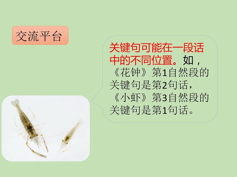 人教部编版(五四制)语文三年级下册语文园地四课件PPT04