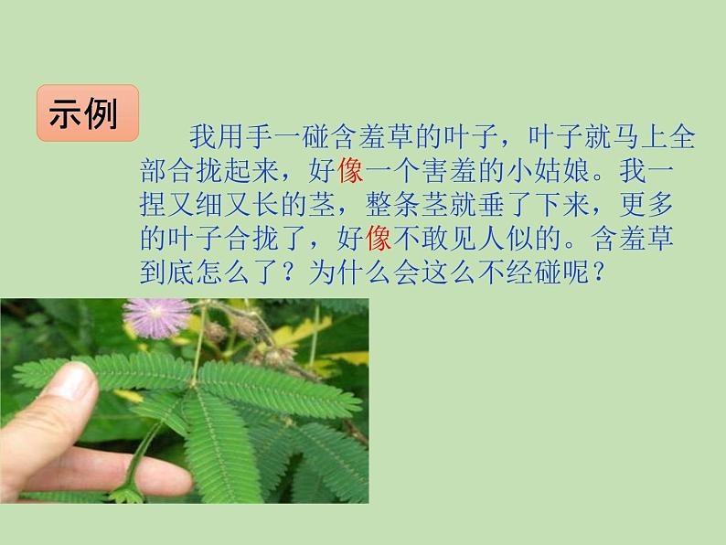 人教部编版(五四制)语文三年级下册语文园地四课件PPT06