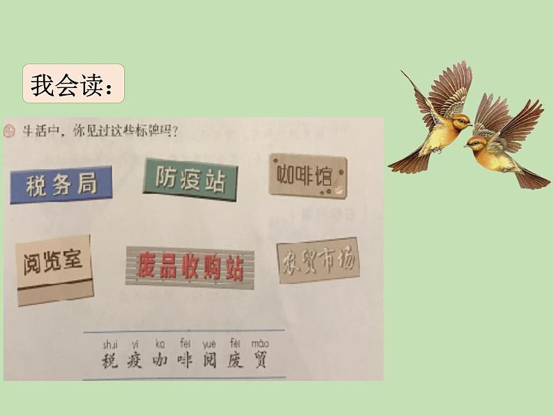 人教部编版(五四制)语文三年级下册语文园地三课件PPT05