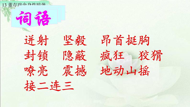 13 董存瑞舍身炸暗堡(配套课件)第5页