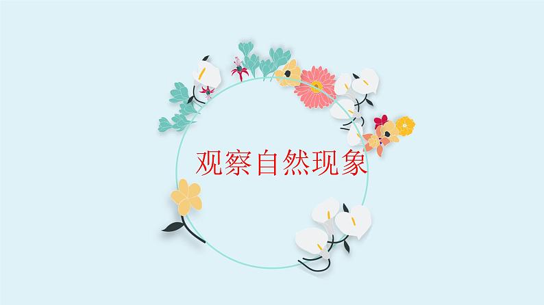 习作——观察自然现象课件PPT第1页