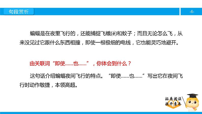 四年级【专项训练】课外阅读:蝙蝠和雷达(下)课件PPT第6页