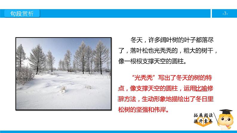 四年级【专项训练】课外阅读:东北大森林(下)课件PPT第7页