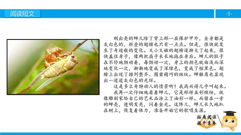 四年级【专项训练】课外阅读:金蝉脱壳(上)课件PPT05