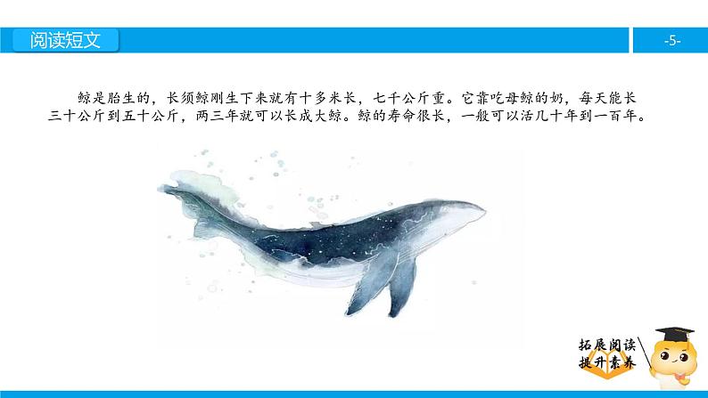 四年级【专项训练】课外阅读:鲸(下)课件PPT05