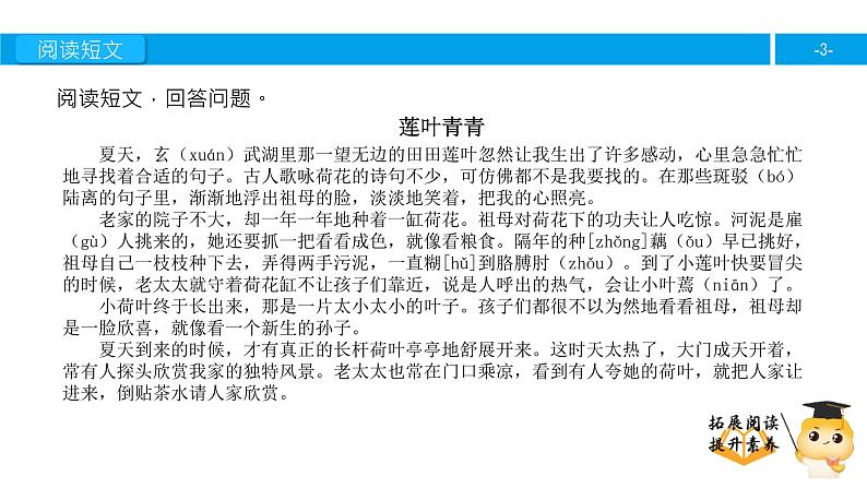 四年级【专项训练】课外阅读:莲叶青青(下)课件PPT第3页