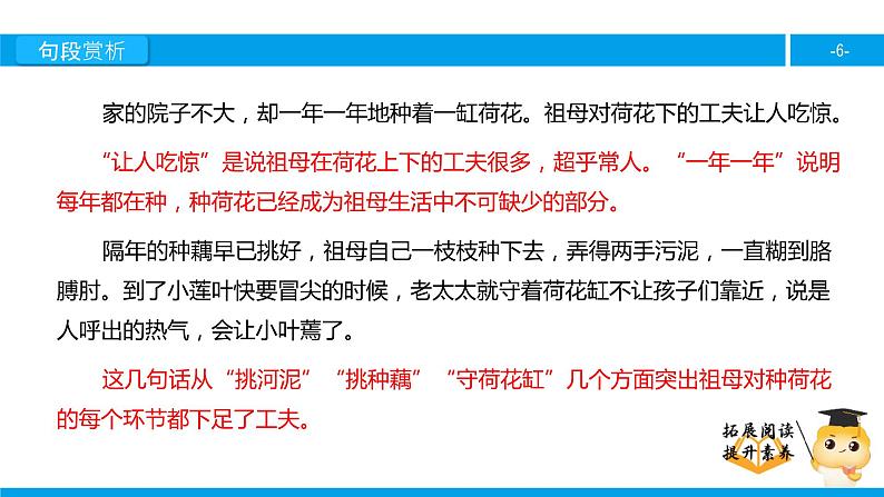 四年级【专项训练】课外阅读:莲叶青青(下)课件PPT第6页
