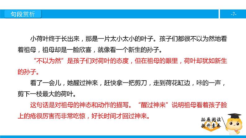 四年级【专项训练】课外阅读:莲叶青青(下)课件PPT第7页