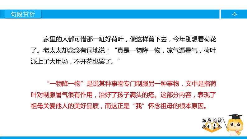 四年级【专项训练】课外阅读:莲叶青青(下)课件PPT第8页