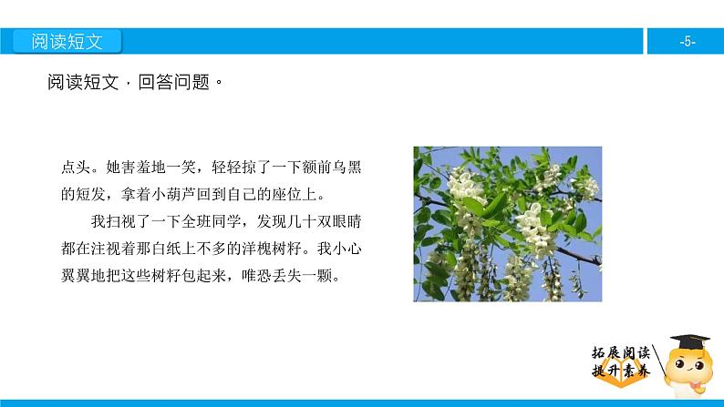 四年级【专项训练】课外阅读:种子(下)课件PPT第5页