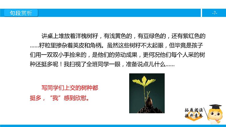 四年级【专项训练】课外阅读:种子(下)课件PPT第7页