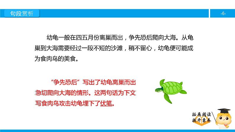 四年级【专项训练】课外阅读:自然之道(下)课件PPT第6页