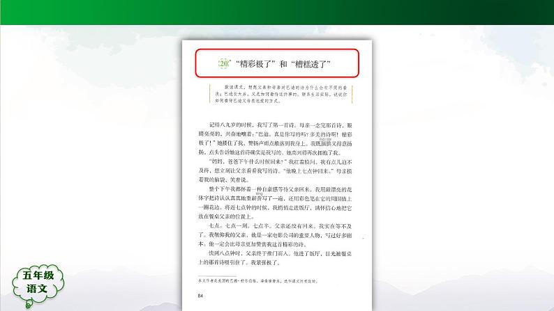 五年级【语文(统编版)】“精彩极了”和“糟糕透了”-课件第8页