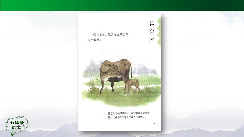 五年级【语文(统编版)】慈母情深(第一课时)-课件第2页