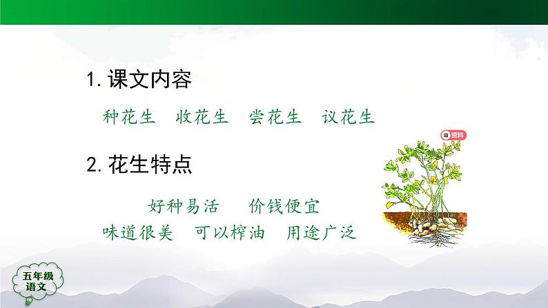 五年级【语文(统编版)】《落花生》第二课时-PPT第2页
