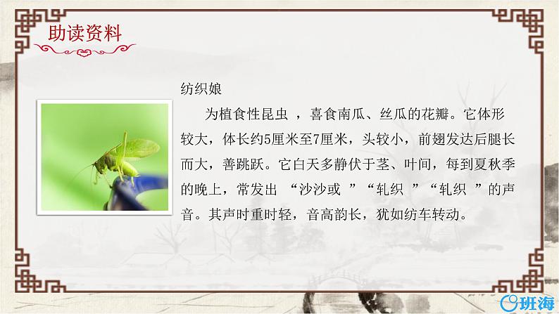 2.乡下人家 课件+教案06