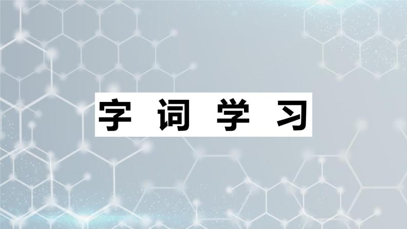 7.纳米技术就在我们身边  课件+教案07