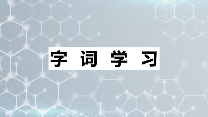 7.纳米技术就在我们身边 课件+教案07