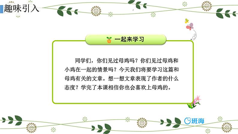 14.母鸡 课件+教案04