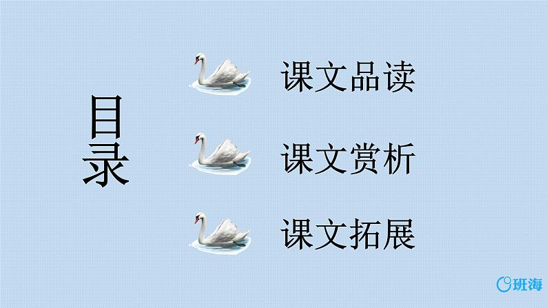 15.白鹅 课件+教案02