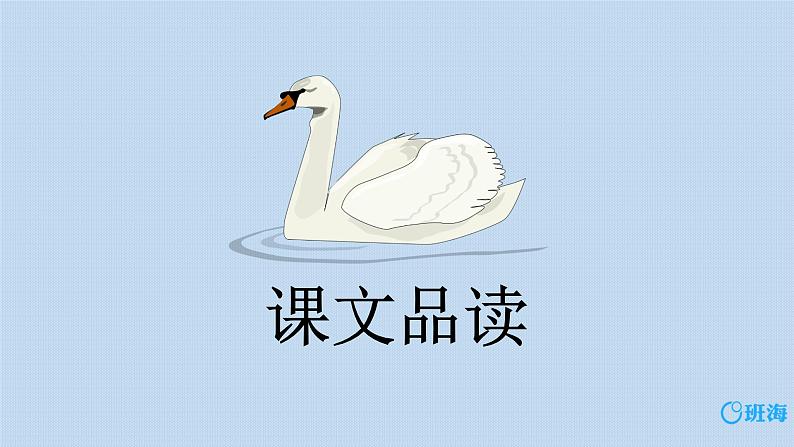 15.白鹅 课件+教案03