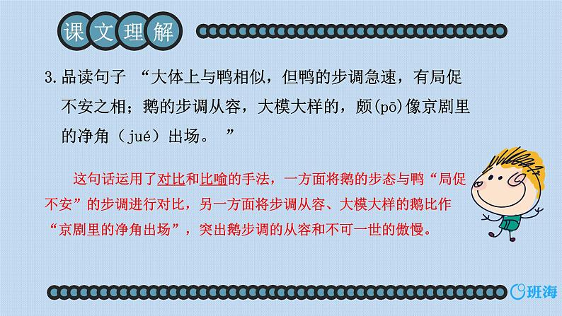 15.白鹅 课件+教案07