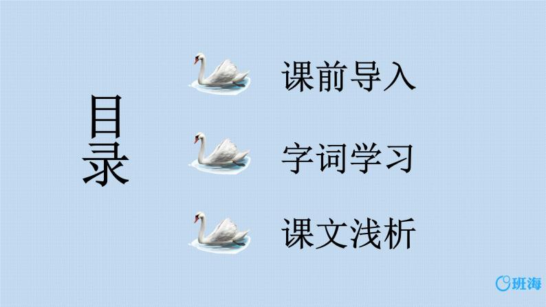 语文四年级下册15白鹅优质课ppt课件