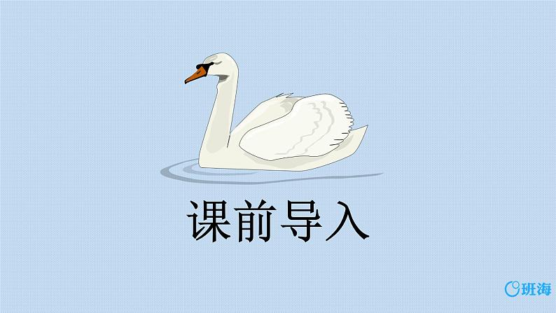 15.白鹅 课件+教案03