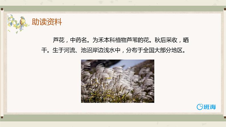 21.芦花鞋 课件+教案06