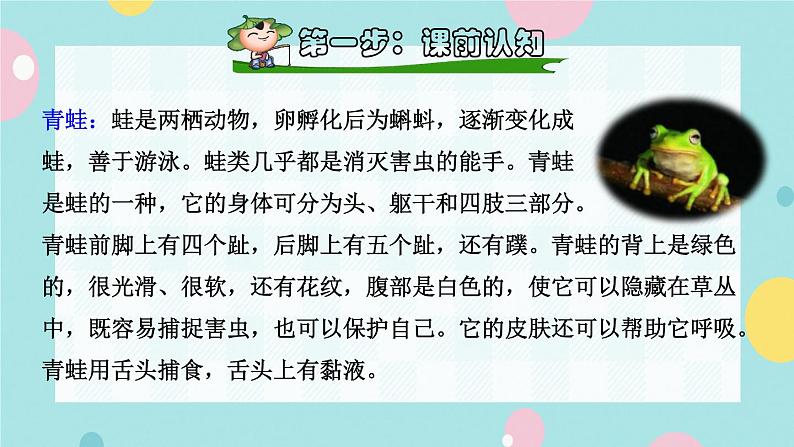 识字3《小青蛙》课件+教案+素材+练习02