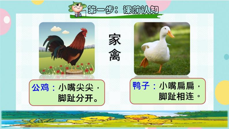 5《小公鸡和小鸭子》课件+教案+素材+练习02