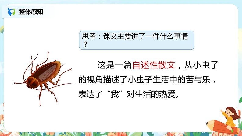 11.我是一只小虫子(第2课时)课件(送教案+同步练习)06