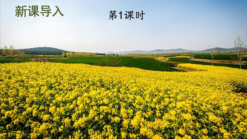 部编版语文四年级下册《1.古诗词三首》课件(送教案+练习含答案)03