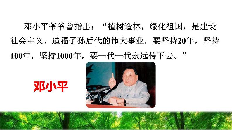 人教版二年级下册语文 第1单元 4 邓小平爷爷植树初读感知课件第2页