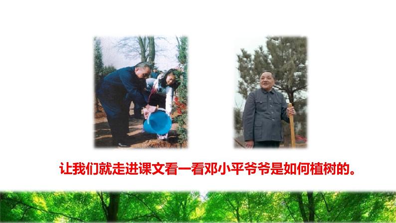 人教版二年级下册语文 第1单元 4 邓小平爷爷植树初读感知课件第3页