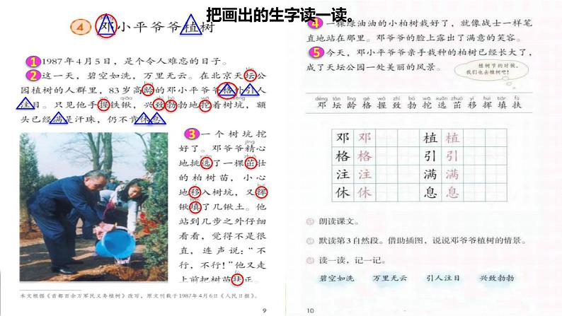 人教版二年级下册语文 第1单元 4 邓小平爷爷植树初读感知课件第5页