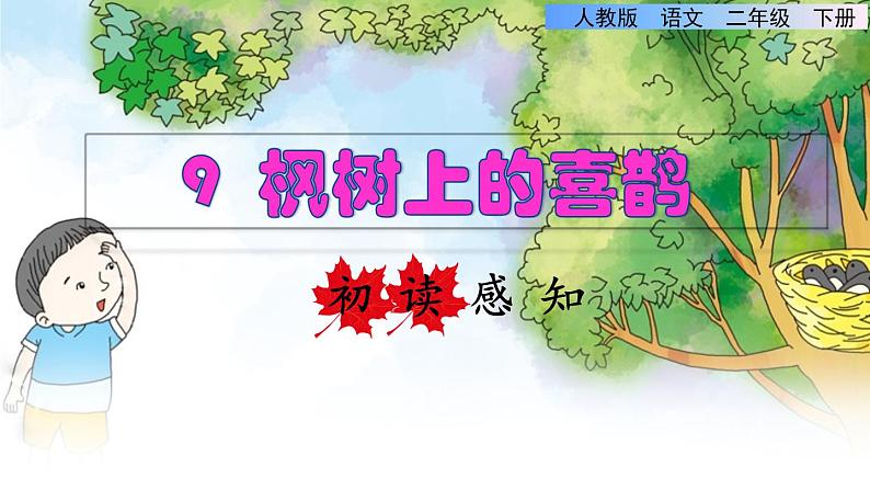 人教版二年级下册语文 第4单元 9 枫树上的喜鹊初读感知课件第1页