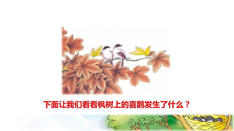 人教版二年级下册语文 第4单元 9 枫树上的喜鹊初读感知课件第3页