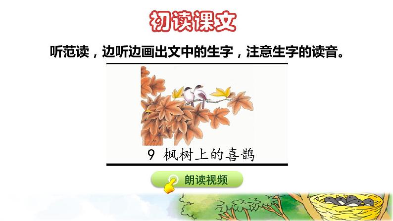 人教版二年级下册语文 第4单元 9 枫树上的喜鹊初读感知课件第4页