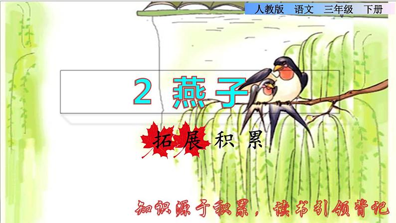 人教版三年级下册语文 第1单元 第2课 2 燕子拓展积累课件第1页