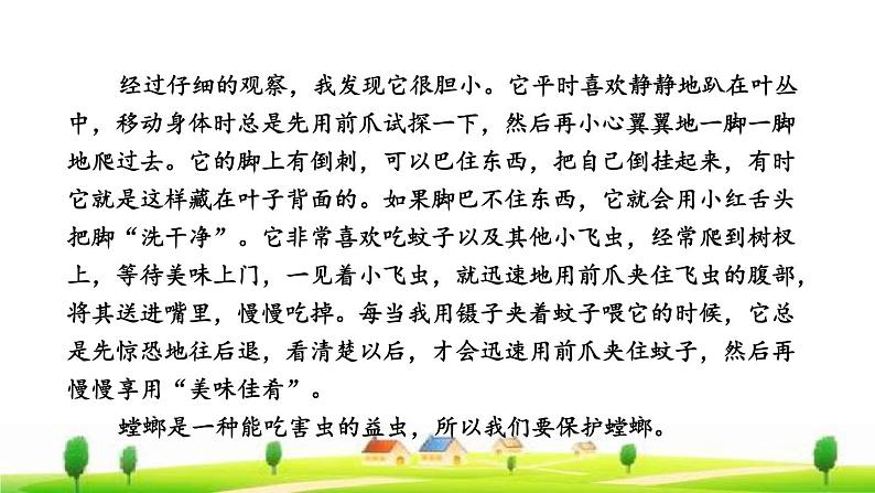 人教版三年级下册语文 第1单元 第4课 4 昆虫备忘录拓展积累课件第5页