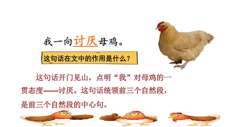 人教版四年级下册语文 第4单元 14.母鸡品读释疑课件第6页
