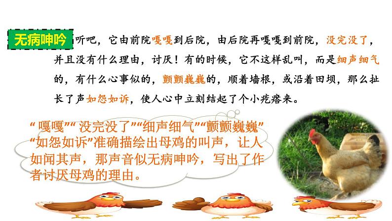 人教版四年级下册语文 第4单元 14.母鸡品读释疑课件第8页