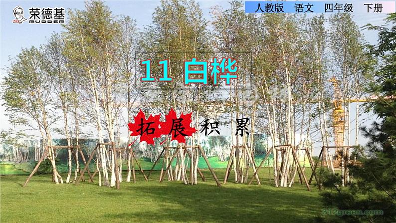 人教版四年级下册语文 第3单元 11.白桦拓展积累课件第1页